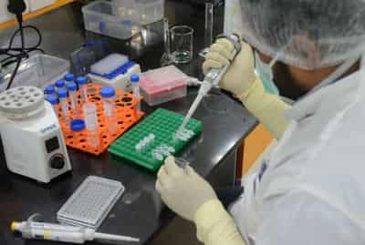 Image for India&#8217;s Serum Institute to invest $68 million in UK vaccine maker Oxford Biomedica
