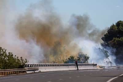 Image for French wildfires jeopardise finish line of Tour de France's third stage