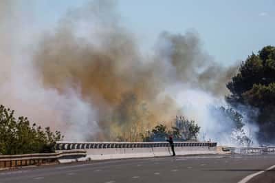 Image for French wildfires jeopardise finish line of Tour de France's third stage