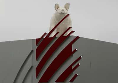 Image for Russian agriculture company equips Ukrainian border region workers with bulletproof vests