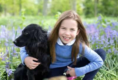 Image for British royals mark seventh birthday of Princess Charlotte with new photos
