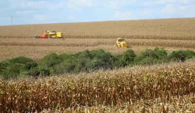 Image for EU reaches initial agreement on tighter EU-Mercosur safeguards