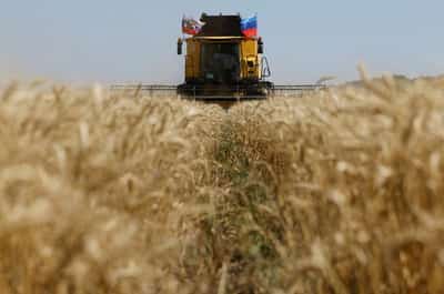 Image for Russia boosts grain exports with crops from parts of Ukraine it controls