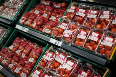 Image for Britain facing tomatoes shortage after overseas harvests disrupted