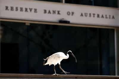 Image for Morning Bid: Central banks gird for oil shocks as RBA votes 5-4 to hike