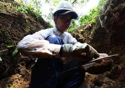 Image for In Hiroshima, search for remains keeps war alive for lone volunteer