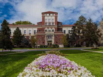 Image for Rocky Mountain College of Art + Design Has A Strategic Vision for Creative Education and Industry Alignment