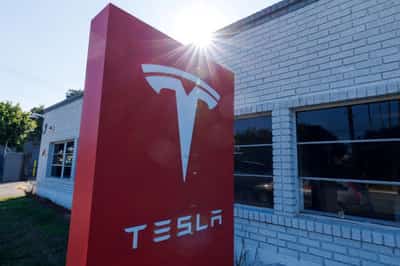 Image for Tesla climbs as SpaceX merger talks fuel Musk empire consolidation hopes