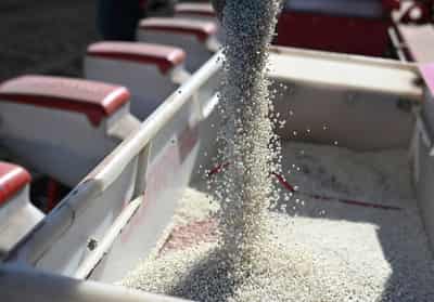 Image for Russian fertiliser makers can't offset potential Iran-related supply crunch, sources say