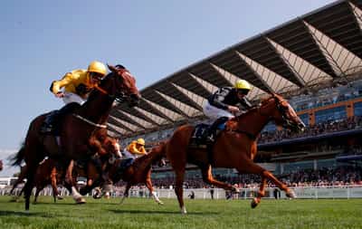 Image for Horseracing-Automatic betting terminals leave Ascot bookies all a flutter