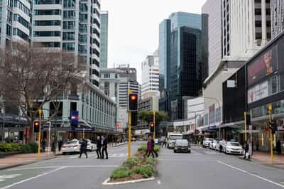 Image for New Zealand's economic recovery delayed but not derailed, finance minister says