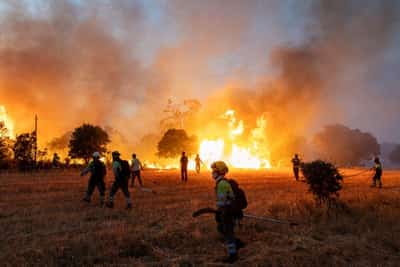 Image for France, Spain and Greece battle wildfires as Europe swelters