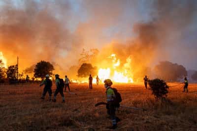 Image for France, Spain and Greece battle wildfires as Europe swelters