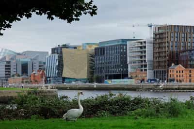 Image for Irish 2025 budget surplus tops forecast at 3.7% of national income