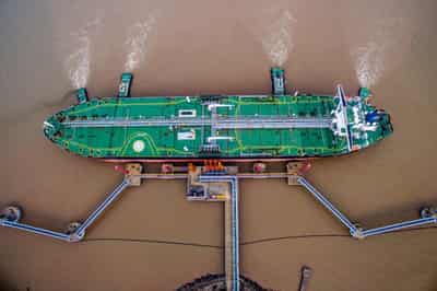 Image for Oil trims gains, but heads for third weekly rise on demand recovery