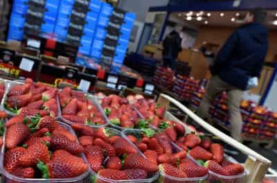 Image for German wholesale prices rise 1.2% in January