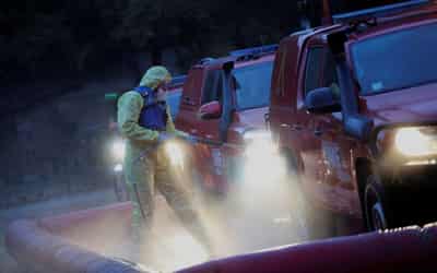 Image for Spanish police search laboratory in African swine fever probe