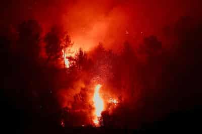 Image for Europe’s extreme heat could wipe out EU growth in 2026, Triodos bank says