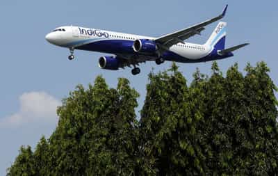 Image for India's IndiGo airline names William Walsh as CEO