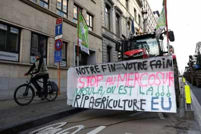 Image for German industry voices frustration over EU-Mercosur deal delay