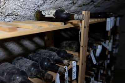 Image for Czech castle's cache of precious wine goes on display in new-old bottles