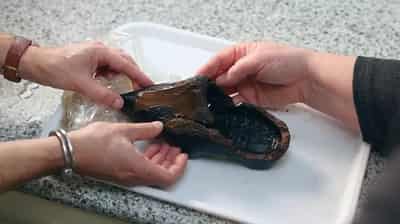 Image for Dutch discover rare 500-year old wooden shoe