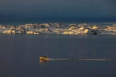 Image for Putin says who owns Greenland is of no concern to Russia, says it might be worth $1 billion
