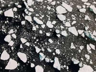 Image for U.S. banking regulators working on climate risk management guidance, official says