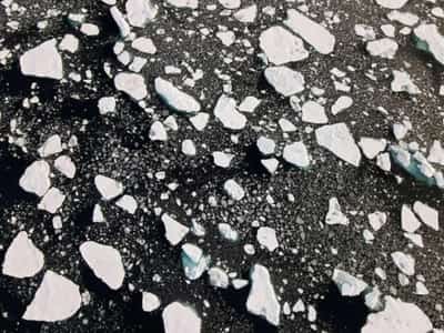 Image for U.S. banking regulators working on climate risk management guidance, official says