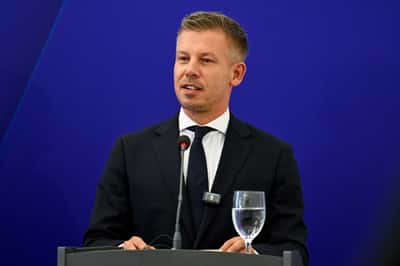 Image for Hungary PM Magyar says to scrap Orban-era restriction on gay adoption