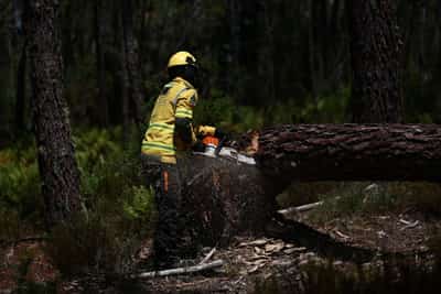 Image for Portugal asks EU, Spain and Morocco for support as wildfire risk rises