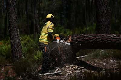 Image for Portugal asks EU, Spain and Morocco for support as wildfire risk rises