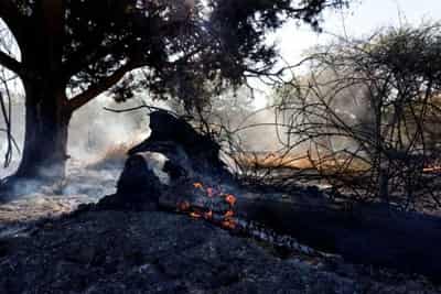 Image for Israel strikes Hamas sites over fire balloons, challenging truce