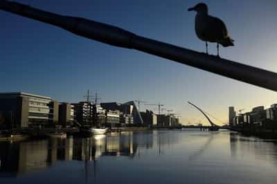 Image for Ireland sees 2025 economic growth slowing to 2% if tariffs stick