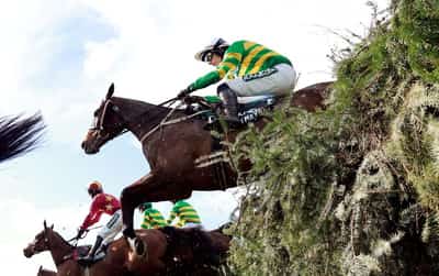Image for Horse racing-I Am Maximus Grand National victory costs British bookmakers dear