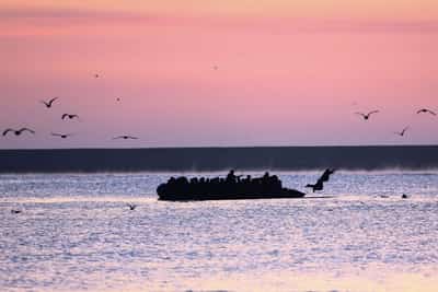 Image for UK loses case over asylum seeker rejections linked to migrant deal with France