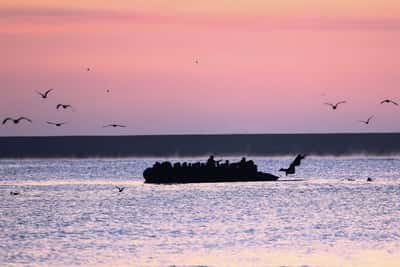 Image for UK loses case over asylum seeker rejections linked to migrant deal with France