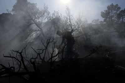 Image for Explainer-How climate change is fuelling wildfires in Europe