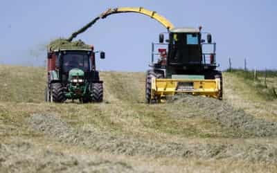 Image for Swiss to vote on whether to become first European nation to ban synthetic pesticides