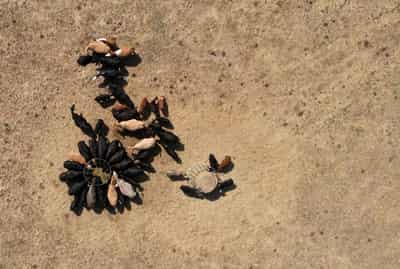 Image for Almost three-quarters of England now in drought, UK government says