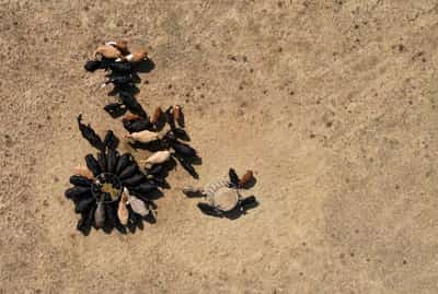 Image for Almost three-quarters of England now in drought, UK government says