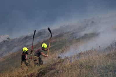 Image for Britain counts cost of historic heatwave as 13 die