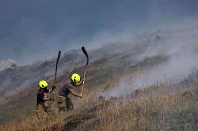 Image for Britain counts cost of historic heatwave as 13 die