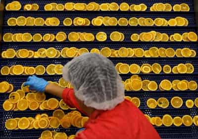 Image for Analysis-UK crisis forces ‘off kilter’ businesses to halt investment