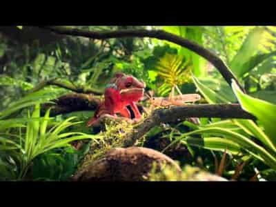 Image for Visa UK: New TV Advert – Visa with Apple Pay (TFL)