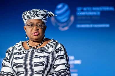 Image for WTO makes final push for trade deals, with eyes on defiant India