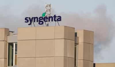 Image for Syngenta sees strong growth in China as Q1 sales rise