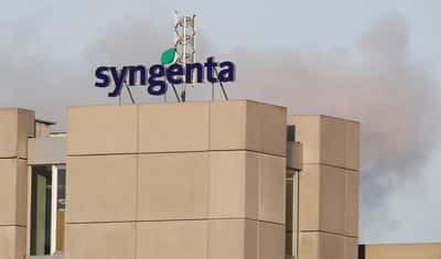 Image for Syngenta sees strong growth in China as Q1 sales rise