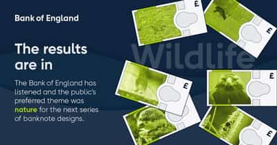 Image for Barn owls, bees, puffins and hedgehogs to feature on UK banknotes