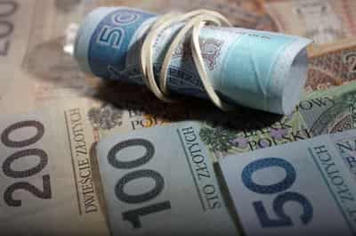 Image for Zloty set to pace FX gains with rate hike back in sight- Reuters poll
